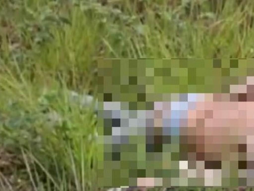 Encuentran cuerpo de un hombre en Danlí, El Paraíso