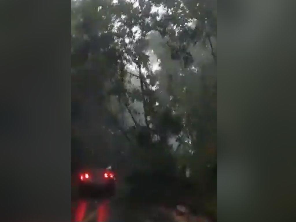 VIDEO: Deslave estuvo a punto de soterrar vehículos en El Salvador tras paso de tormenta Julia
