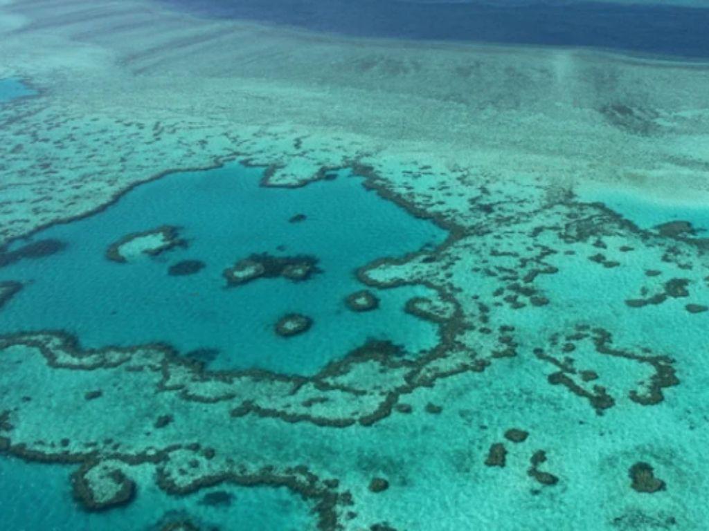 Ola de calor blanquea el 91% de la Gran Barrera de Coral, según informe