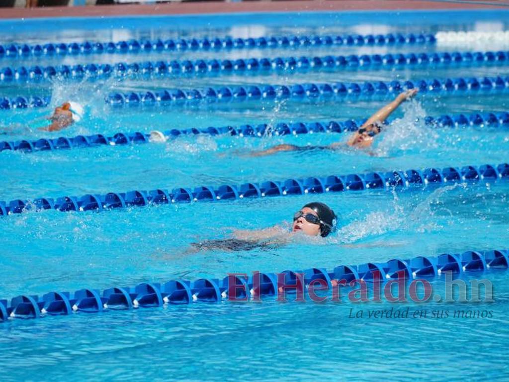 Este jueves se pone en marcha el Campeonato Nacional de Piscina en San Pedro Sula