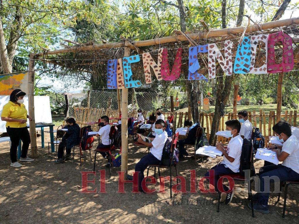 La escuela bajo los árboles con cero contagios covid-19 durante dos años