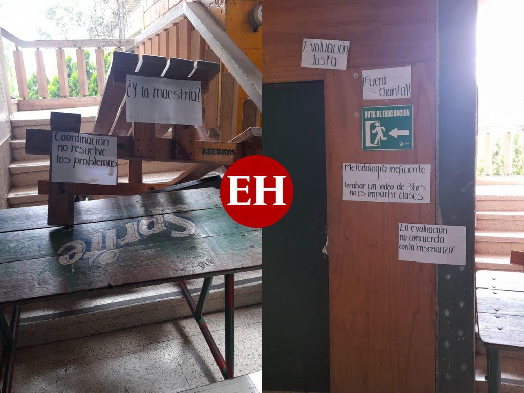Estudiantes de Biología de la UNAH se toman edificio para exigir destitución de catedrática