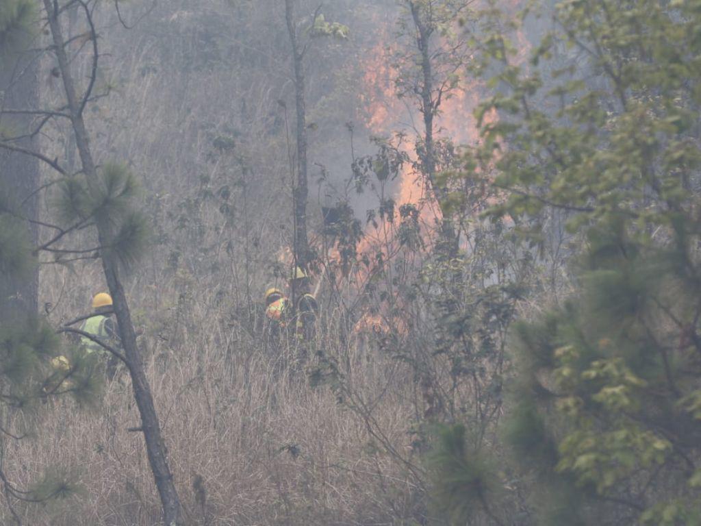 Voraz incendio consume varias hectáreas de bosque en el cerro de Uyuca, carretera a Zamorano
