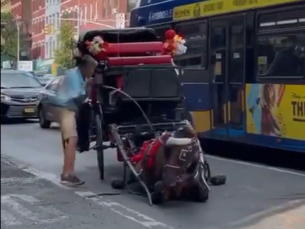 Indignante video muestra a jinete golpeando un caballo desplomado por la ola de calor en EE UU