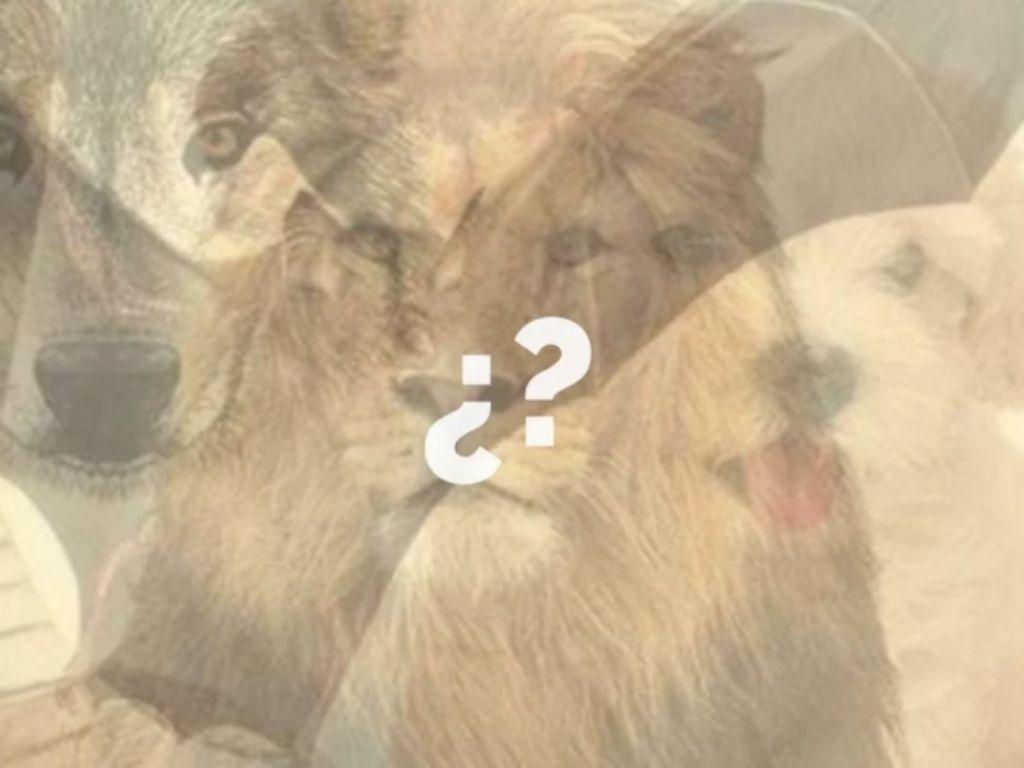 ¿Quieres descubrir ese lado de tu personalidad que desconoces? Prueba con este sencillo test