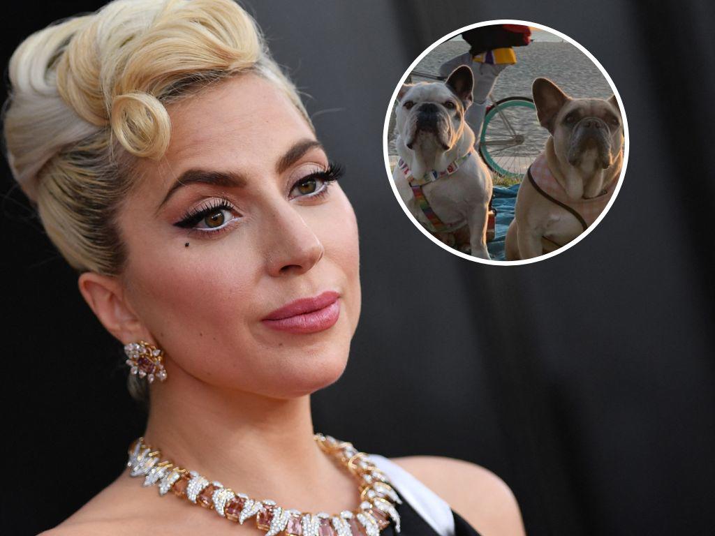 Dan cuatro años de cárcel a uno de los secuestradores de los perros de Lady Gaga