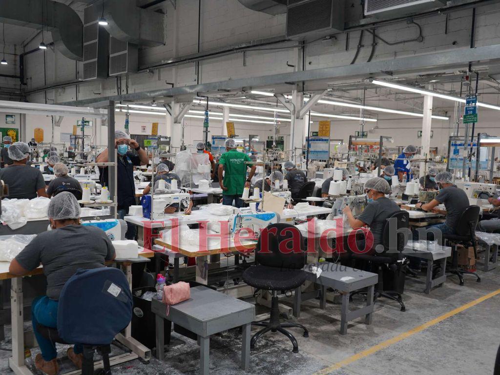 Alarmante cifra: Solo 30 de cada 100 hondureños tienen un trabajo formal en Honduras