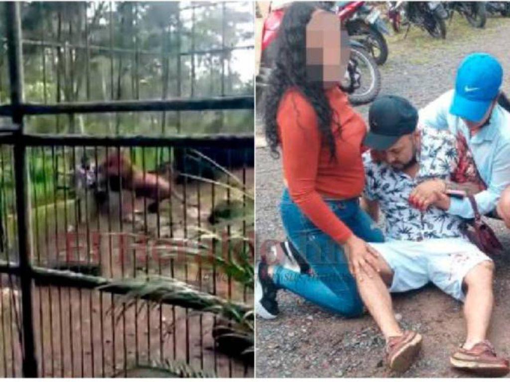 ¿Qué pasó con el imprudente visitante que fue mordido por un león en el zoológico de El Picacho?