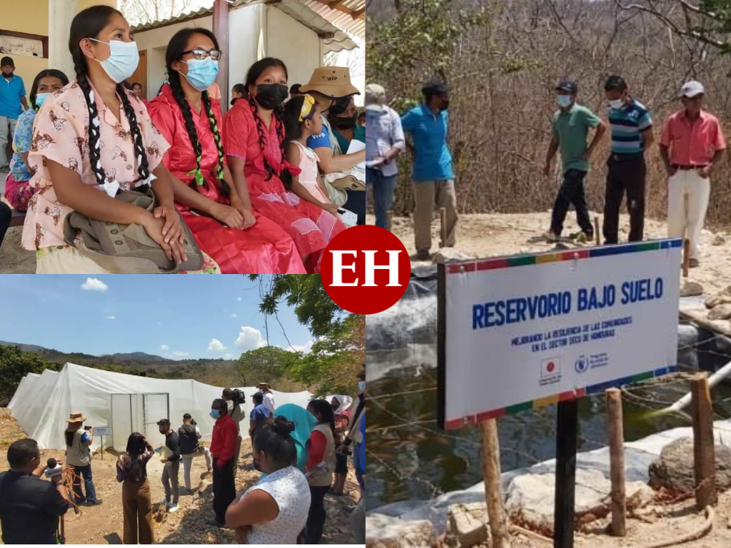 Embajada del Japón y JICA realizan gira en proyectos de la zona sur