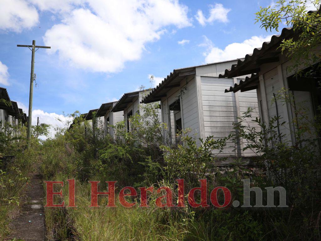 En estudio posibilidad para que damnificados habiten 14% de Ciudad Mateo