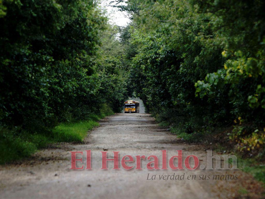 $!En Choluteca, El Paraíso y Valle hay muchas vías alternas por montañas, cañeras y hasta por mar, todas estas rutas son utilizadas por las organizaciones de narcotráfico para pasar droga.