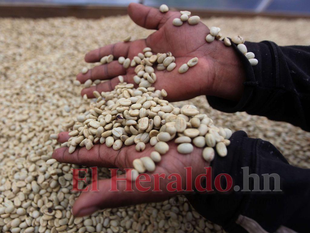 Inversión externa crece 15% en Honduras por reinversión de utilidades