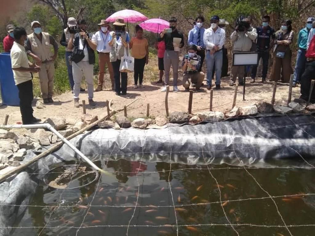 Embajada del Japón y JICA realizan gira en proyectos de la zona sur