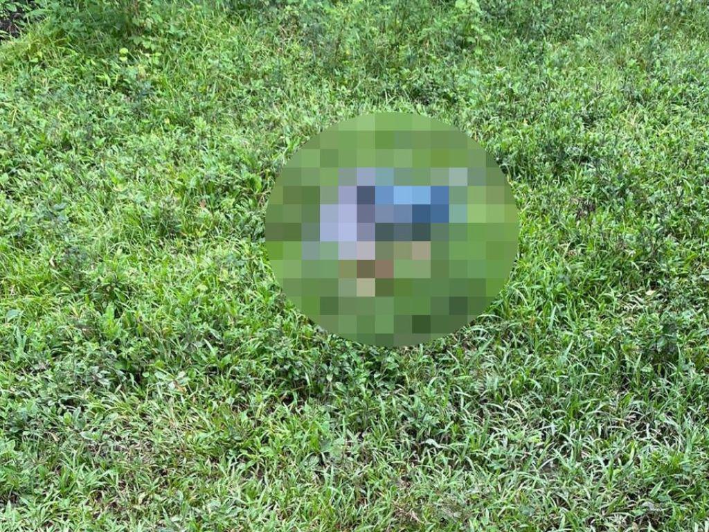 Hallan cadáver de joven adolescente en colonia La Pradera en Sabá, Colón