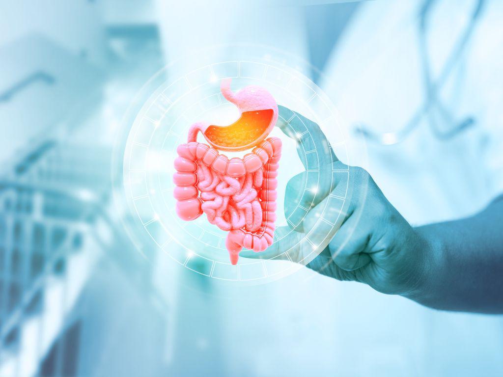 Para una mejor vida, cuide la salud de su sistema digestivo