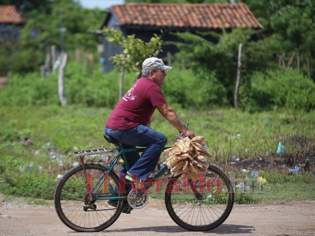 $!Debido al aumento de la población y la cantidad de familias que se han instalado, en la zona se puede apreciar que ha aumentado el comercio y la necesidad de servicios.