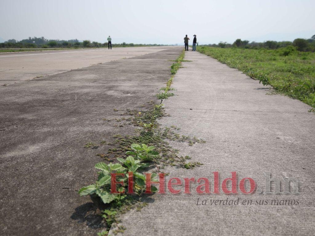 $!Enormes arbustos están creciendo en el aeródromo El Aguacate, de Catacamas, Olancho, debido a la poca actividad aérea que se realiza en las zonas y al descuido.