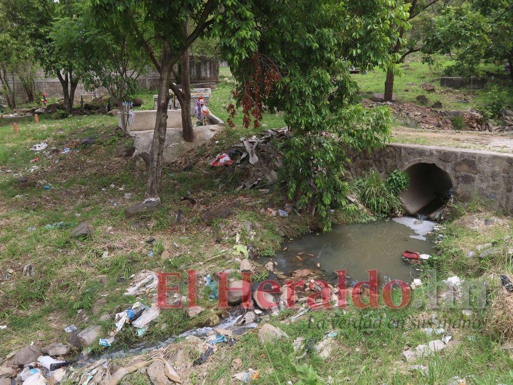 Solo 14 mil fosas disponibles hay entre cementerios municipales del DC