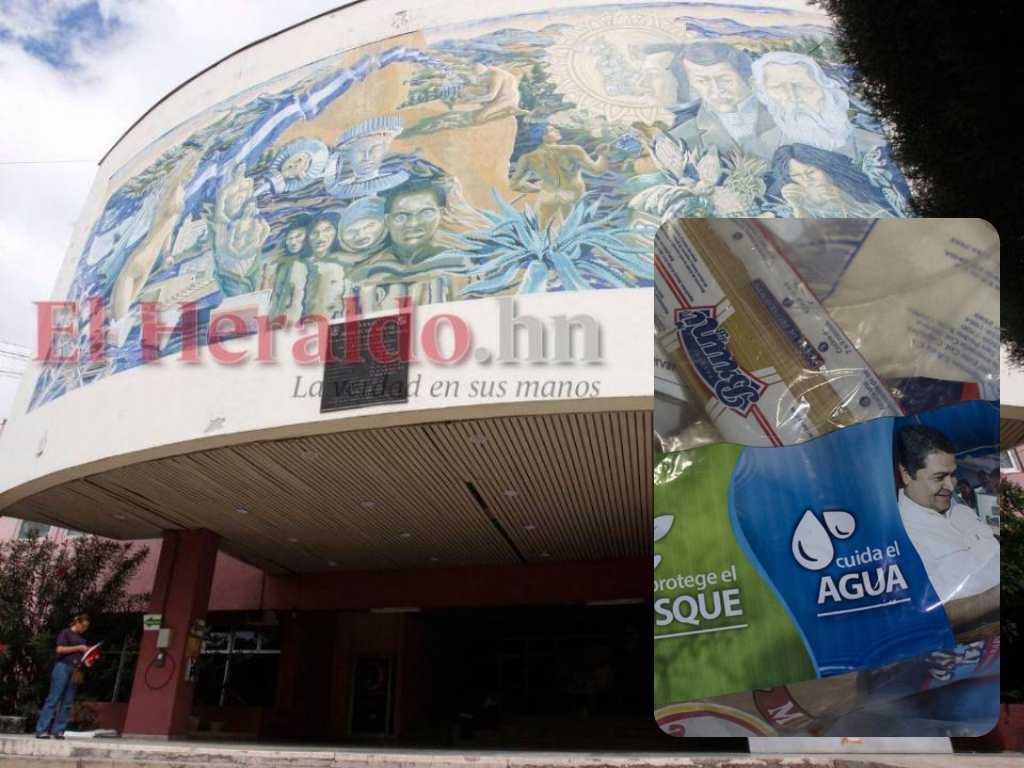 Denuncian que fondos del Pani se usaron para entregar bolsas solidarias en campaña política