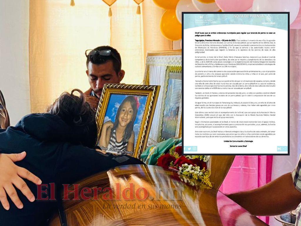 Dinaf buscará que municipios regulen tenencia de perros, tras muerte de niña atacada por un pitbull en Lempira