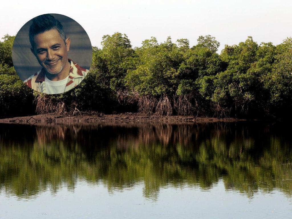 Alejandro Sanz apoyará reforestación de manglares en Honduras
