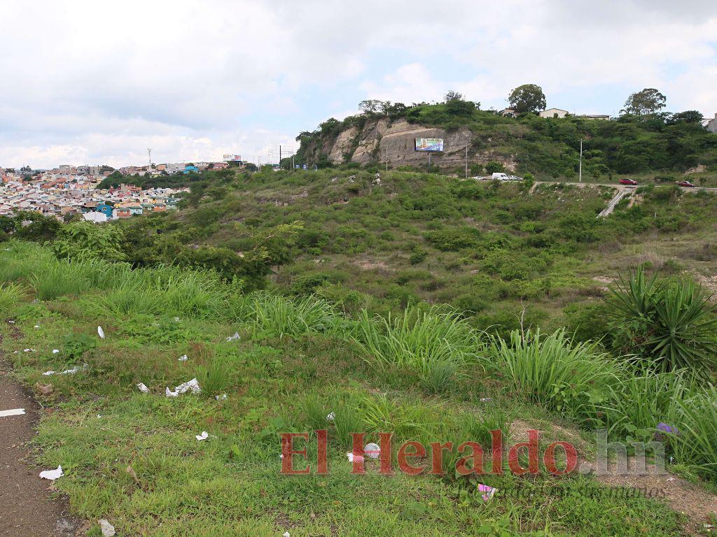 Mercado Perisur intenta resurgir del olvido para echar andar el proyecto