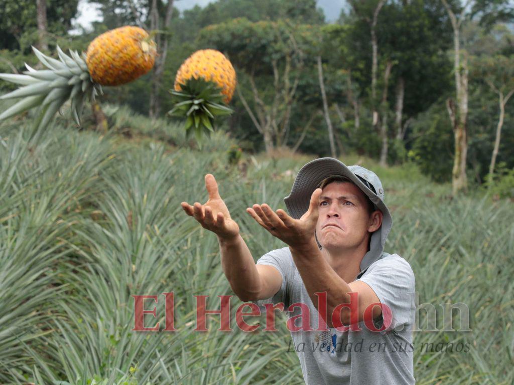 Francisco Martínez: “Vivo un sueño, fue un camino duro”