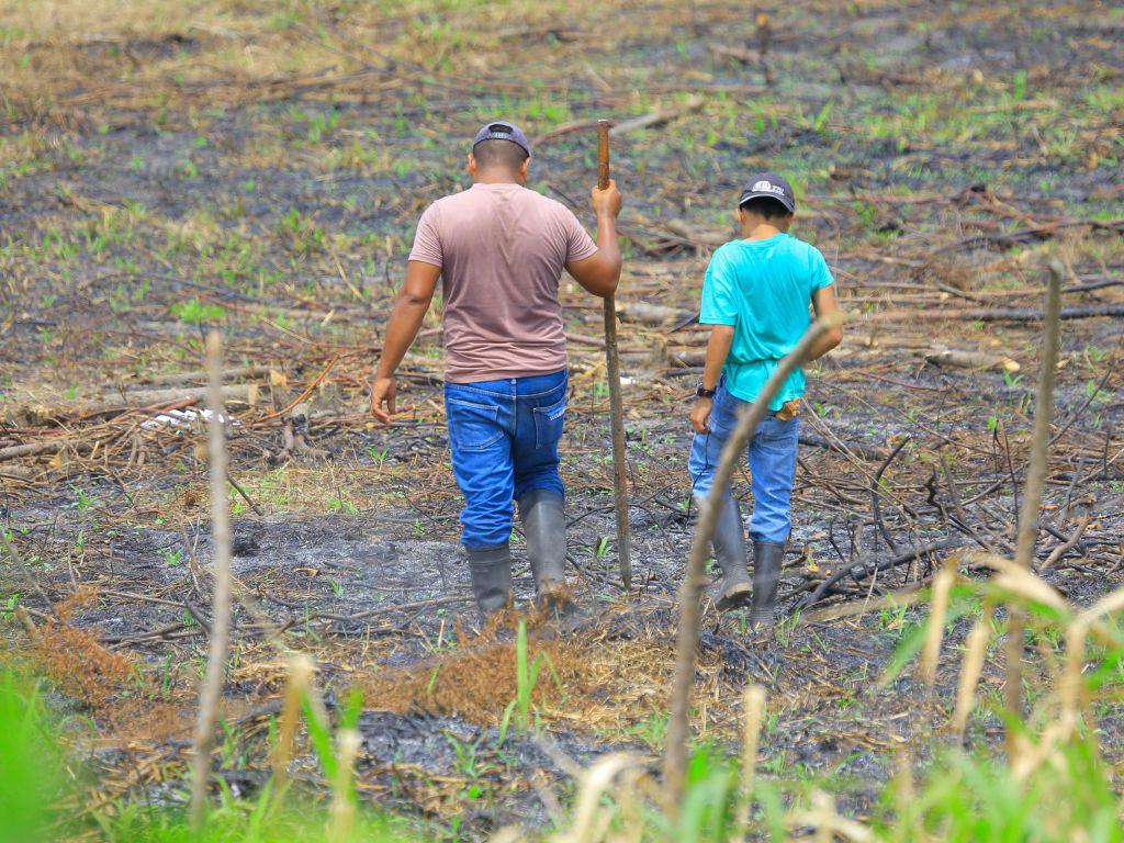 Campesinos temen sembrar ante la falta de lluvias por fenómeno El Niño