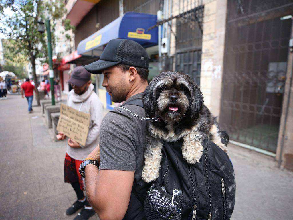 $!Un joven cargaba sobre su mochila a su perrita en la peatonal del centro de Tegucigalpa. El venezolano viajaba junto a su hermano desde Caracas. Ambos pedían para seguir su ruta hacia Estados Unidos.