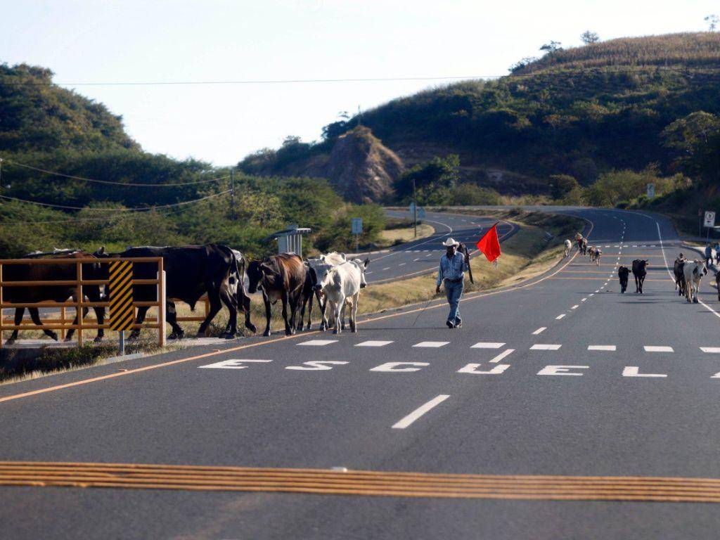 $!En los más de 100 kilómetros del Canal Seco que conecta Honduras con El Salvador por medio de municipios y puntos ciegos no se logró ubicar ningún retén con presencia militar.