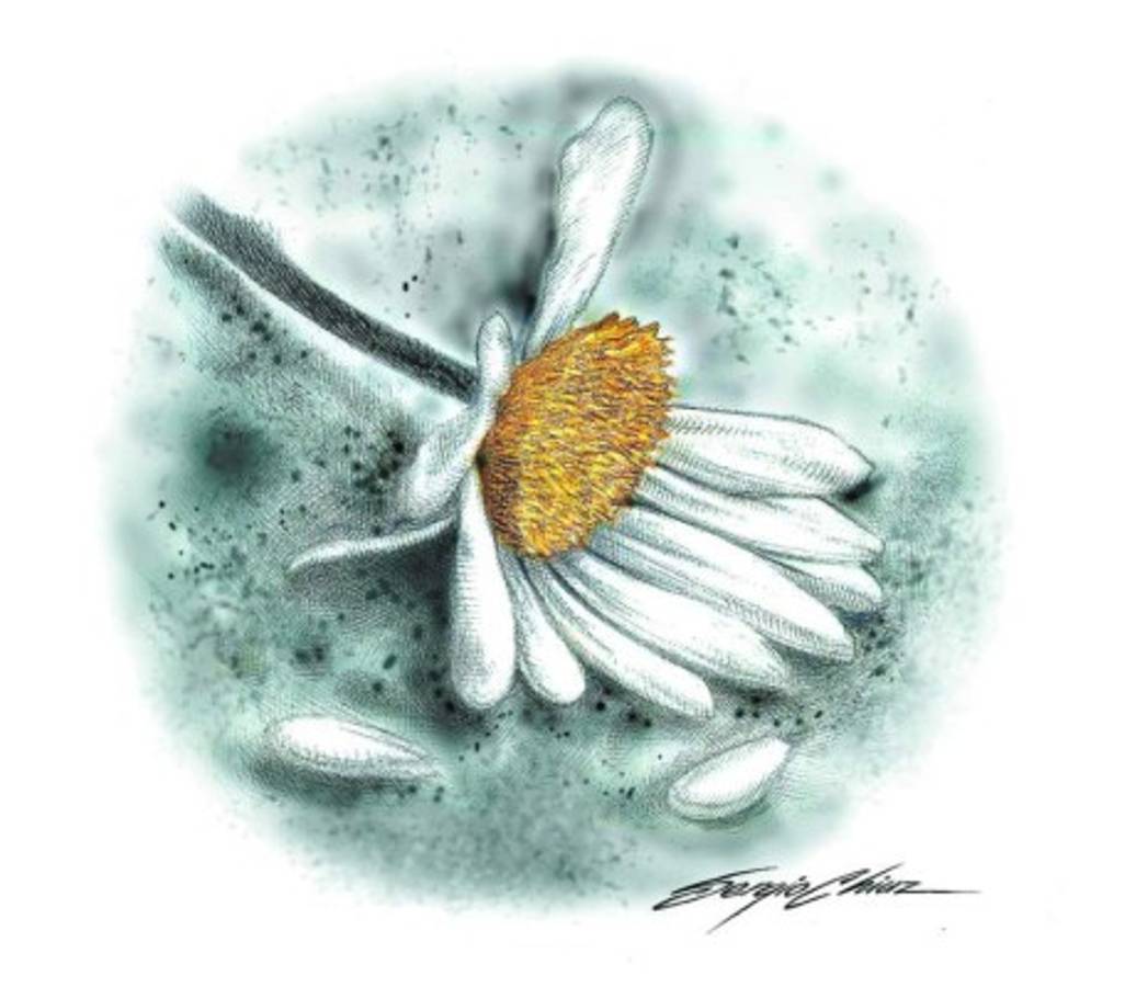 Recuento de los Crímenes más impactantes III