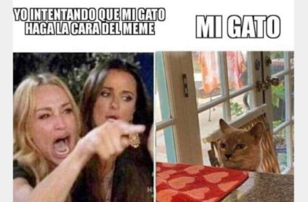 Los memes más divertidos de 2019