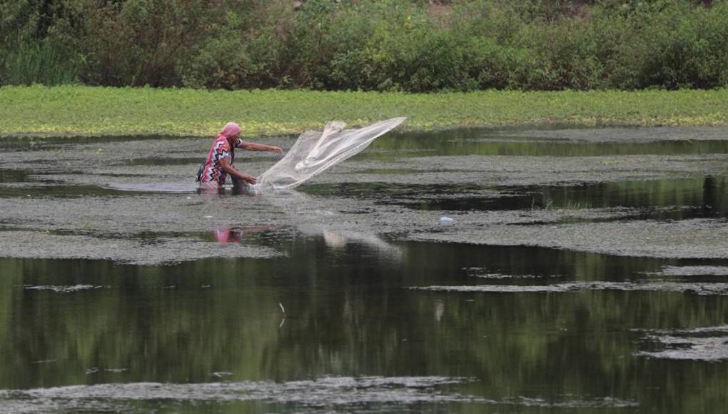 “Esas bordas no van a durar nada”: el temor en Costa de Los Amates ante bordos contra inundaciones