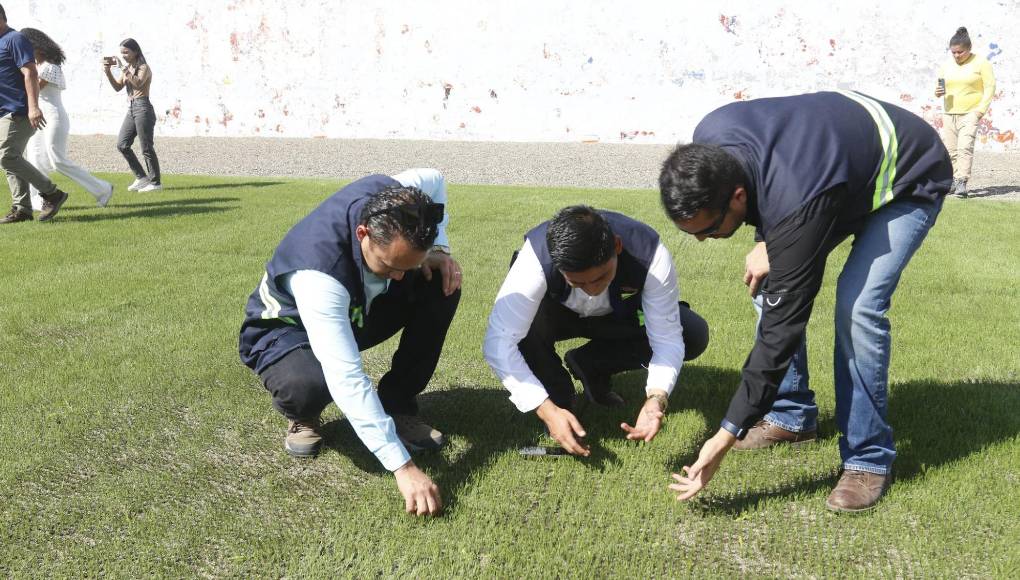 Cancha del estadio Morazán quedó una belleza