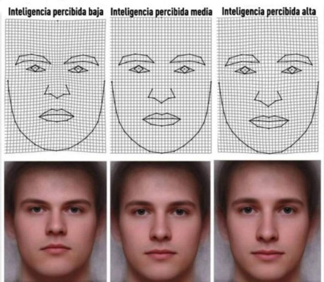 El rostro revela el nivel de inteligencia de una persona