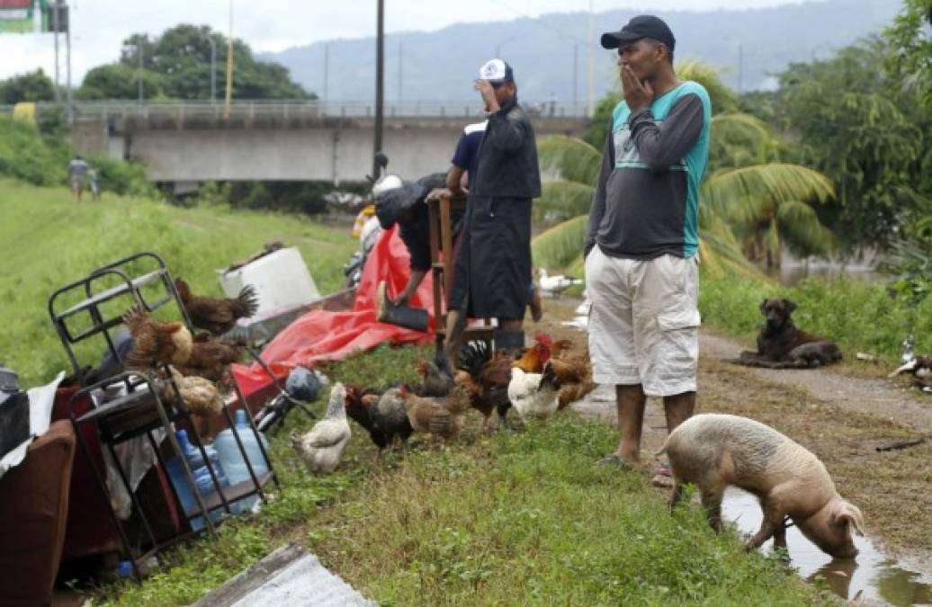 Las fotografías más impactantes del desolador paso de Iota en Honduras