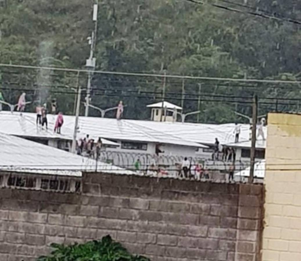 Grupo de reclusos se amotinan en cárcel de El Porvenir