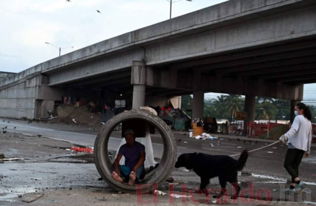 Bajo un puente y sin colchonetas, así pasan sus noches damnificados por Iota y Eta (FOTOS)