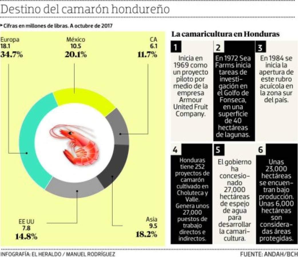 Foto: El Heraldo