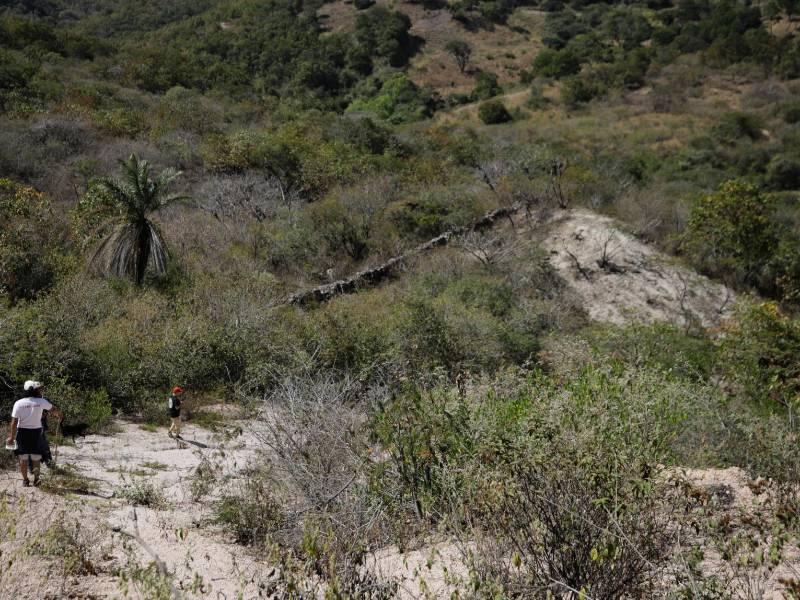 Justo en esta área de Jiniguare se debe levantar la corona del embalse, con una altura de 90 metros y cuya parte superior debe medir casi 300 metros de largo.
