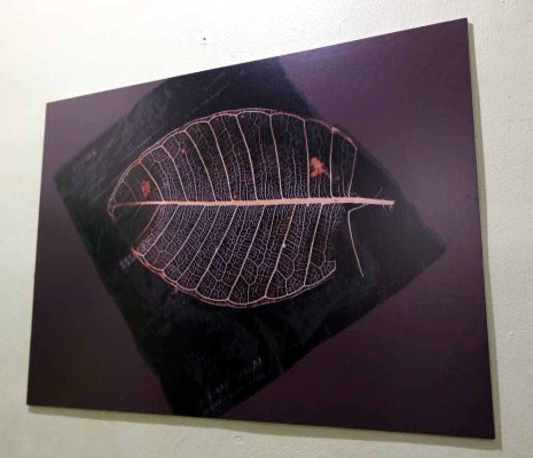 Un diario de viaje de Heleci Ramírez en Babel