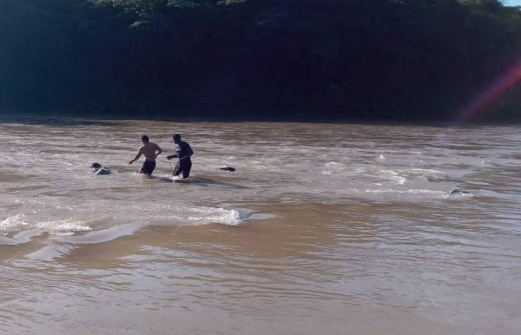 Por aire y río abajo, así fue la búsqueda de un militar y tres agentes de la ATIC que naufragaron en Colón (FOTOS)