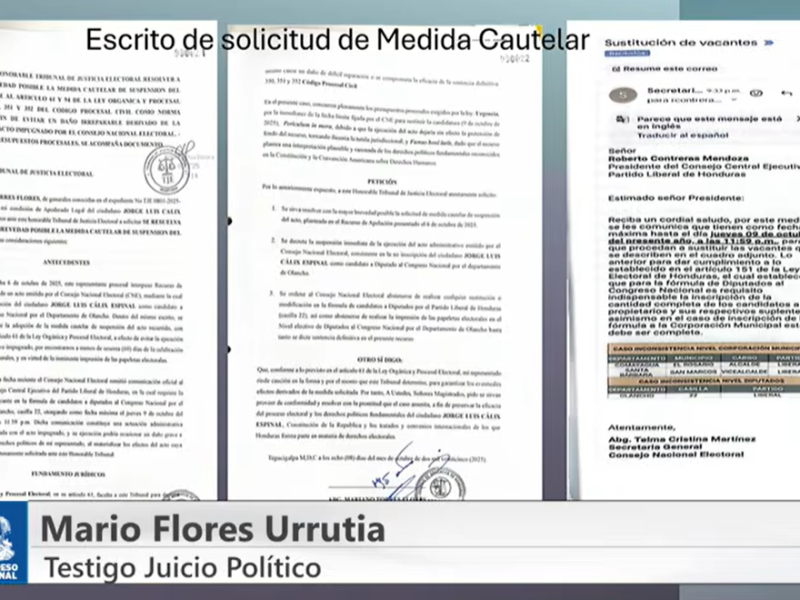 Día 2 de juicio político: testigos comparecen contra funcionarios electorales