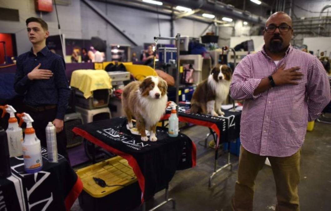 Las divertidas fotos del concurso Westminster Dog Show en Nueva York