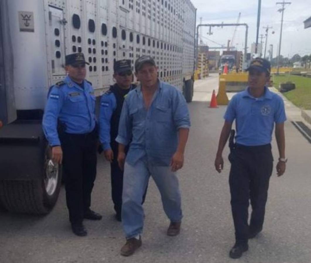 Decomisan dos paquetes con 100 mil dólares ocultos en una rastra en Puerto Cortés