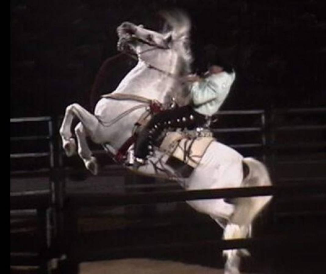 Caballo de Joan Sebastian murió cinco días antes él