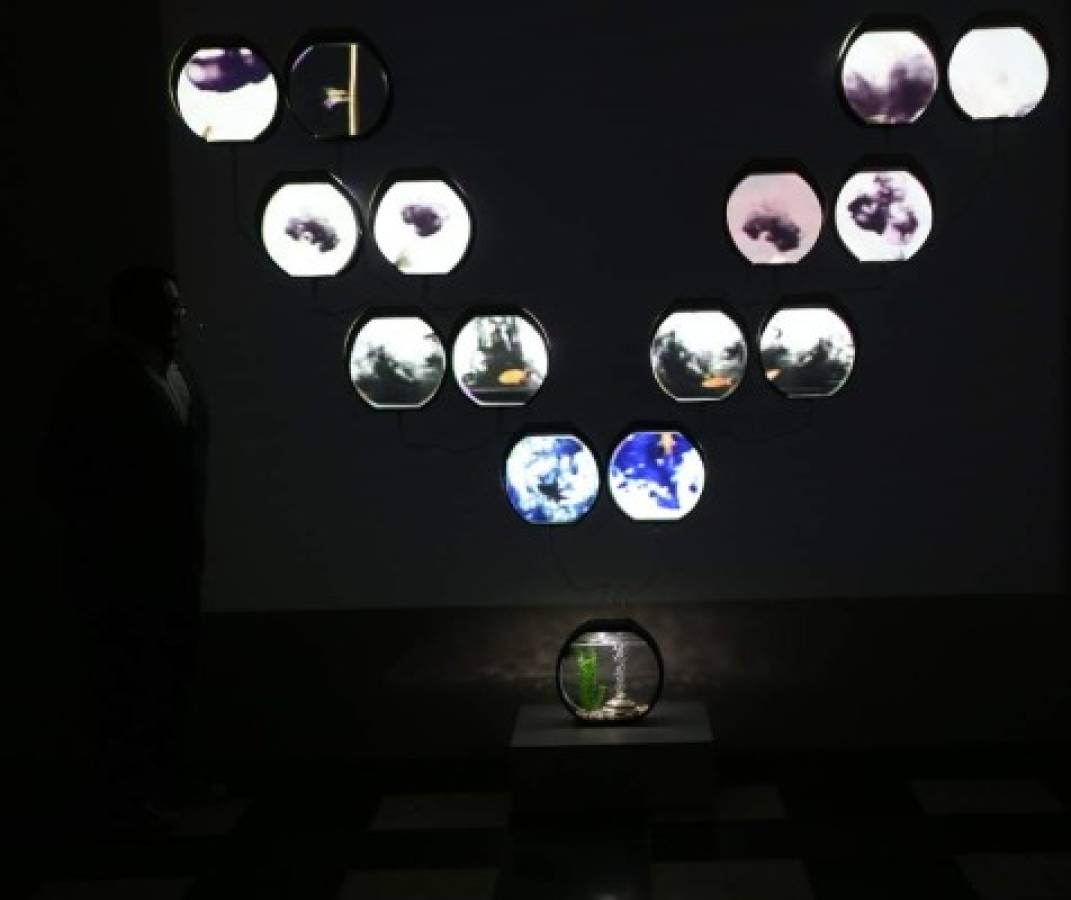 La EAT inauguró Nómada 04 'Arte en crisis” en el MIN