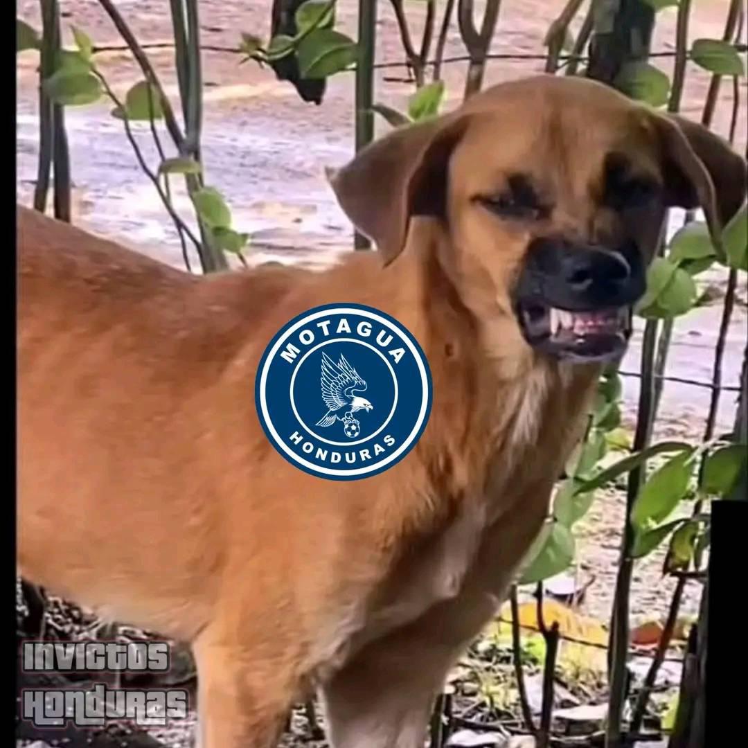 Burlas por todos lados: Los memes que dejó la goleada de Cartaginés a Motagua en el repechaje