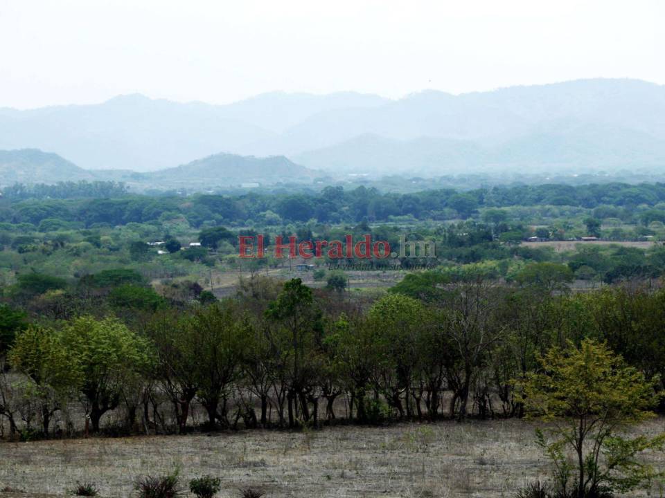 El valle de Jamastrán posee 30,000 hectáreas de tierra fértil cuyos cultivos brindarían seguridad alimentaria.