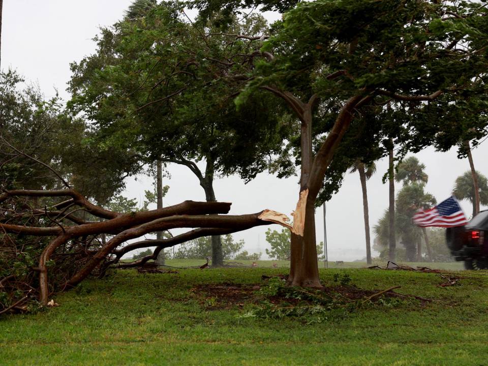 La rama de un árbol se rompió cuando los fuertes vientos y la lluvia del huracán Ian llegaron a Florida.